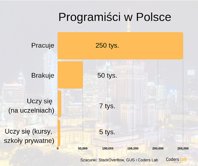 Programiści w Polsce